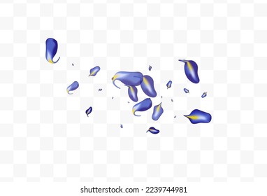Lilac Iris Falling Vector White Transparent Background Design. Flying Foliage Branch. Violet Leaves Nature Banner. Leaf Transparent Concept.