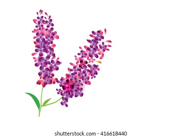 lilac isolated pictures for object or background