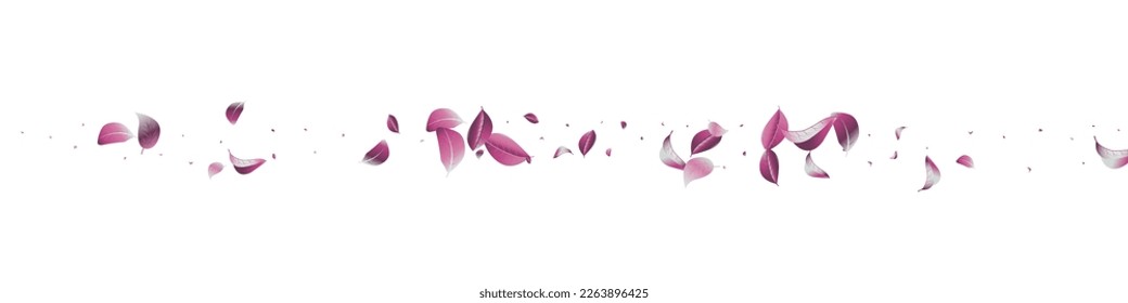 Lilac Leaf Ecology Vector White Panoramic Background Pattern. Fly Foliage Poster. Violaceous Solar Flying Banner. Leaves Nature Concept.