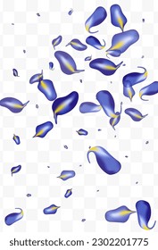 Lilac Leaf Herbal Vector White Transparent Background Border. Nature Iris Concept. Violaceous Foliage Ecology Illustration. Leaves Falling Backdrop.