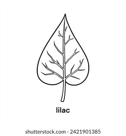 Lilac Leaf - No Fill Just Outline Vector Design 