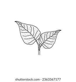 Lilac leaves Black outline. Hand drawn doodle icon illustration isolated on white background