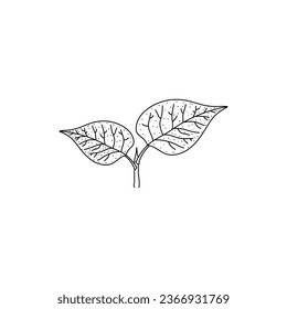 Lilac leaves Black outline. Hand drawn doodle icon illustration isolated on white background