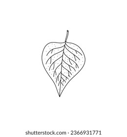 Lilac leaves Black outline. Hand drawn doodle icon illustration isolated on white background