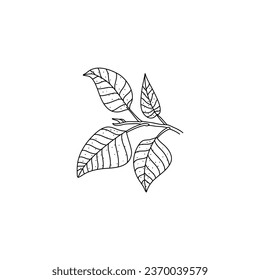 Lilac leaves Black outline. Hand drawn doodle icon illustration isolated on white background
