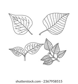 Lilac leaves set. Hand drawn doodle icon illustration isolated on white background