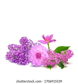 Lilac, lily and pion low poly. Beautiful fragrant flowers. Wonderful Flowers. Elements for label design. Lilac, lily and pion in triangulation technique.