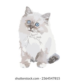 Lilac Point Birman cat vector illustration