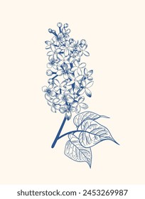 Lilac. Poster with lilac flowers. Vector floral illustration. Blue drawing. Linear art style.