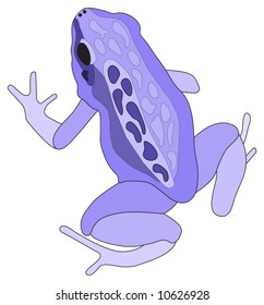 Lilac / purple  Tree frog