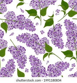 Lilac seamless pattern. Hand drawn vector background of branches blooms  purple flowers.