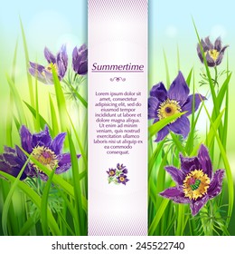 Lilac sleep-grass in Grass. Vector card. Bokeh and sparks. Place for your text.