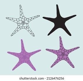 lilac starfish drawing. a set of options for starfish. hand-drawn in the style of a starfish sketch, top view with a texture of circles and dots, black outline and silhouette for a design template