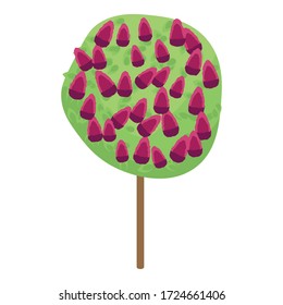 Lilac tree icon. Isometric of lilac tree vector icon for web design isolated on white background