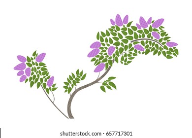 Lilac tree isolated on white background. Vector flat illustration.
