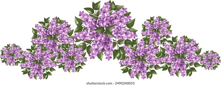 Lilac trees top view for the landscape design plan. Entourage design. Vector illustration.