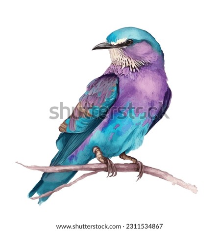 
Lilac-breasted Roller bird watercolor paint