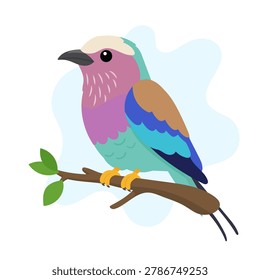 Lilac-breasted roller illustration featuring Coracias caudatus perched elegantly, lilac-breasted roller vector art celebrating Coracias caudatus.