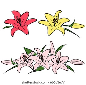 Lilies design element isolated on white, vector illustration