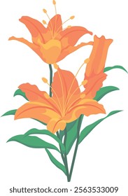 Lilies Flower Vector Flat Illustration 