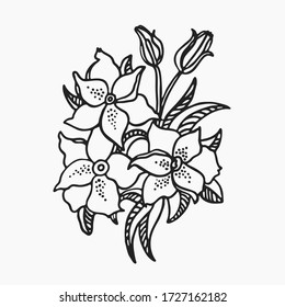 Lilies flower vector. Hand draw black outline illustration on white background. Isolated element for design of pattern,greeting card, flaer, poster, banner, wedding invitation,  template tattoo.