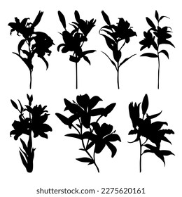 Lilies flowers silhouette set stencil templates for stickers cutting