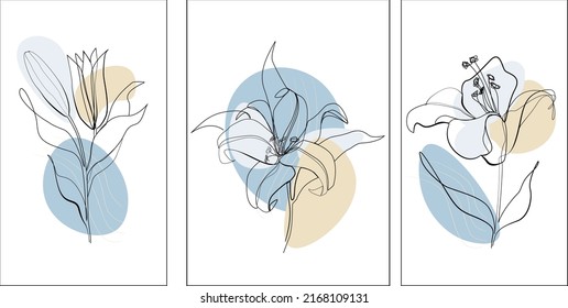 Lilies flowers vector line art color set. Abstract shape floral hand drawing outline lily. Minimalistic modern set of lily one line art black and white. Lily flower graphic sketch illustration poster 