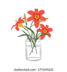 Lilies in a glass jar. Orange flowers with buds and green leaves on a white background. Summer flowers. Floral composition. Vector illustration