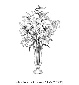 
Lilies in a glass vase. Hand-drawn vector illustration of a sketch style.  Isolated interior elements. Vintage floral composition.