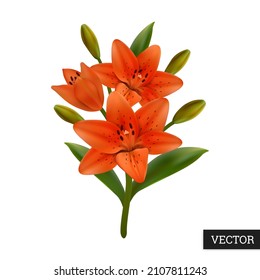 Lilies isolated on white background. Blooming orange flowers. Icon in realistic style. Beautiful 3D vector illustration. Element for design banner, card, brochure, cover, booklet. Stock.