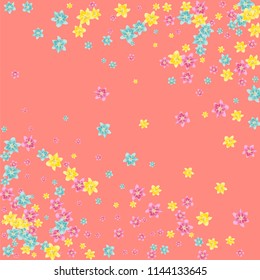 Lilies multicolored on a pink background. Background with tropical flowers.