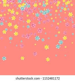 Lilies multicolored on a pink background. Background with tropical flowers.