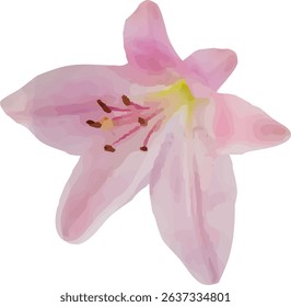 lilies pink and bloom design12