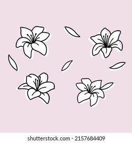 Lilies set, outline vector illustration