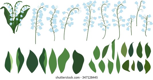 lilies of the valley. Individual parts of lilies of the valley on a transparent background, flowers and leaves