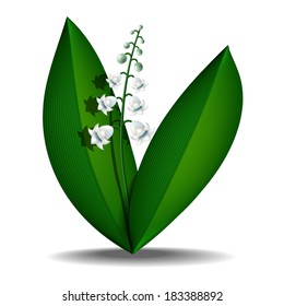  lilies of the valley on a white background