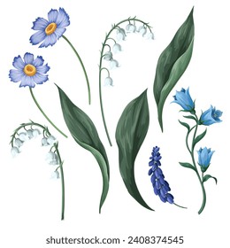 Lilies of the valley and other flowers isolated. Vector