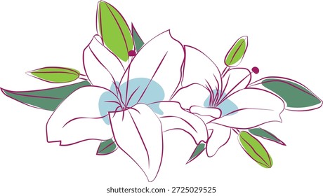 Lirios, Ilustración vectorial. Se puede utilizar para Fotos, postales, Sitios web o libros.