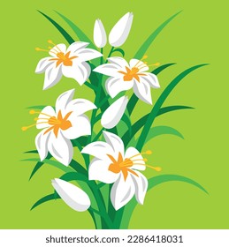 Lilien - weiße Blumen auf hellgrünem Hintergrund. Weiße Lilie, umgeben von grünen Blättern. Ein Strauß Lilien. Farbvektorzeichnung, Illustration mit Blumen, Blumenzusammensetzung