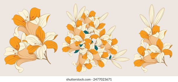 Lilium Candidum Botanical Illustration as a frame design and romantic invitation printing needs