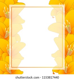 Lilium candidum, the Madonna lily or Orange Lily Banner Card Border. Vector Illustration.