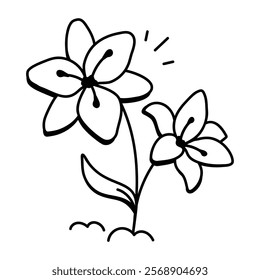 Lilium flowers icon in hand drawn style 

