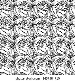  Liliya flower  white and black background. Vector vintage pattern. Vector illustration bright design.