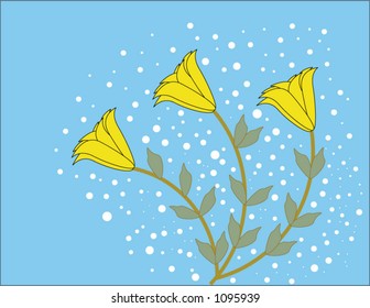 lilly background