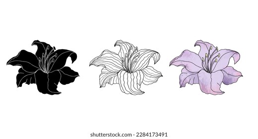 Lilly flower hand drawn set for design of logo or tattoo