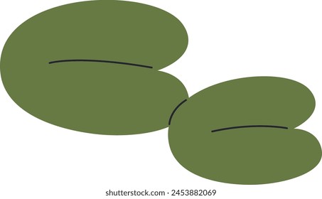 Lilly Flower Leaves Vector Illustration