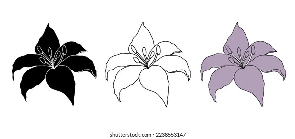 Lilly flower set, isolate on white background. Hand drawn floral elements