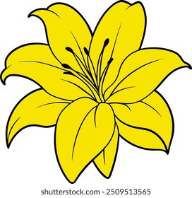 Lilly Flower Vector - Stunning Floral Design