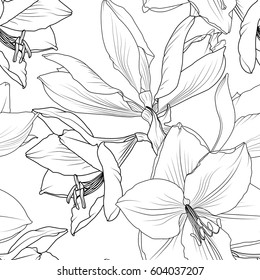 Las flores de lirio cierran la vista macro sin problemas. Dibujo de esbozo del bosquejo de humedales florales Hippeastrum. Ilustración de diseño vectorial para embalaje, envoltura, textil, tela, moda, decoración.