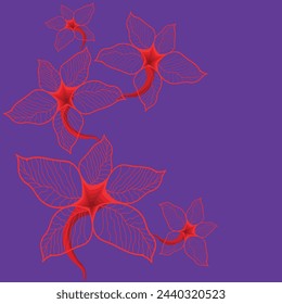 Lilly flowers vector  violet background